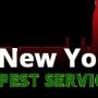 New York Pest Services