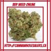 Finest Details About Shop Weed Online