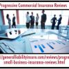 Have You Seriously Considered The Option Of Progressive Commercial Insurance?