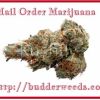 Learn The Most Vital Aspect About Buy Weed Online
