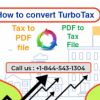 How to convert TurboTax tax to PDF and PDF to Tax File