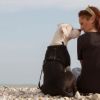 Core Concepts Associated With Pet Friendly Drug Rehabs