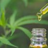 Why You Need To Be Serious About CBD Oil