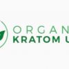 Reliable Information Regarding Best Kratom Brand