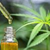 Best Cbd Oil Tinctures - Helps In Achieving More Success In Less Time