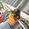 Learn The Most Vital Aspect About Gutter Cleaning