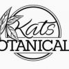 Best Kratom – Has Lot To Offer And Nothing To Lose