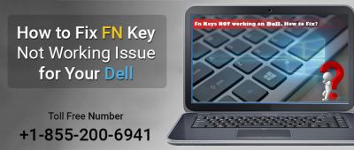  +1-855-200-6941 How to Fix FN Key Not Working Issue for Your Dell