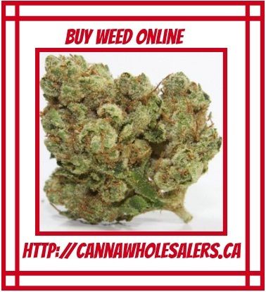 Finest Details About Shop Weed Online