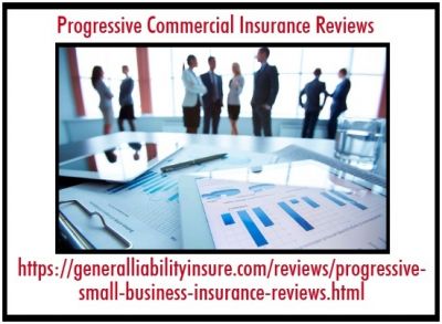 Have You Seriously Considered The Option Of Progressive Commercial Insurance?