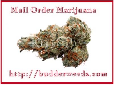 Learn The Most Vital Aspect About Buy Weed Online