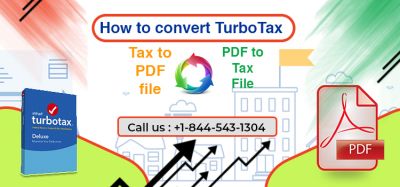 How to convert TurboTax tax to PDF and PDF to Tax File