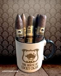 Facts to know about flavoured cigar for the ultimate experience