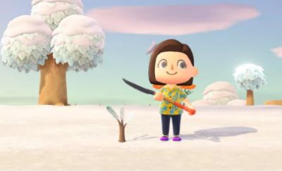 Animal Crossing Items Turnips