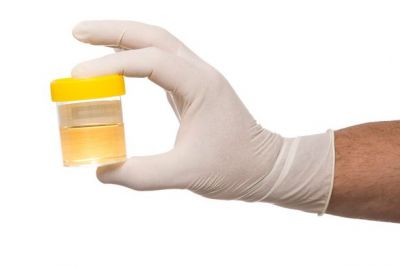 Synthetic Urine - Easy And Effective