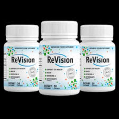 What Makes ReVision So Impressive ?