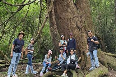 Highly Informative Details Regarding Ðông Travel