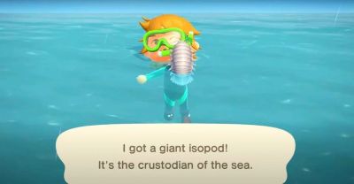 Animal Crossing Bells have dug up evidence