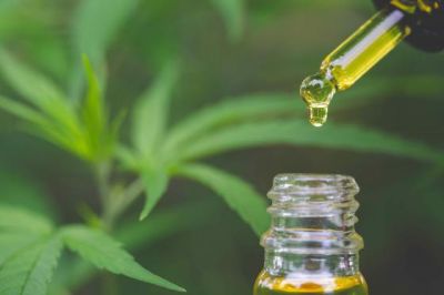 Why You Need To Be Serious About CBD Oil