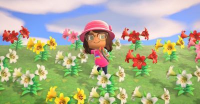 Animal Crossing Items and the Mario update