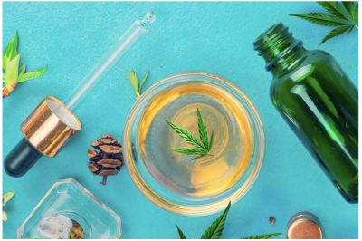 Get In Contact With Best Cbd Oil Brands! True Information Shared