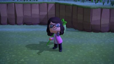 Buy Animal Crossing Items you can simply