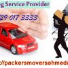 Shifting Your Pet Without Any Type Of Health Risk @ Packers Movers Ahmedabad