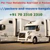 What Are The Pet Policies For The Rental? – Packers And Movers Bangalore