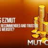Why is EZMUT the most recommended and trusted MUT Coins website?