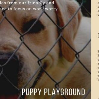 Puppy Play Ground
